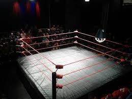 Wrestlingring 