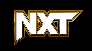NXT TV results (11/28): Moore’s review of Tony D’Angelo and Channing Lorenzo vs. Angel Garza and Humberto Carrillo for the NXT Tag Team Titles, Iron Survivor Challenge qualifiers